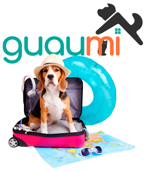 Imagen de un perro viajando en una maleta