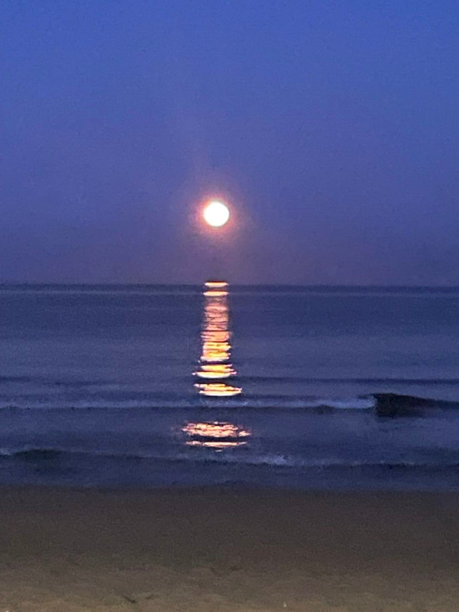 Imagen del Alojamiento Casita en la playa de Gandia